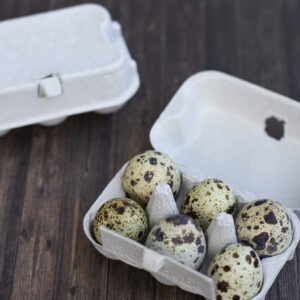 Quail Egg Boxes